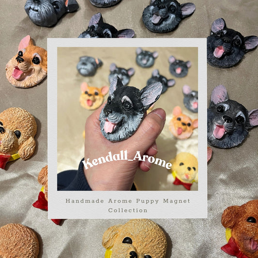 Handmade Aroma Puppy Magnet - Husky type