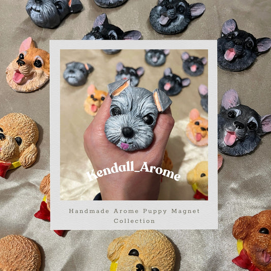 Handmade Aroma Puppy Magnet - Schnauzer type