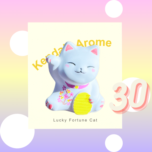 Fortune Cat Aroma Stone - no.30