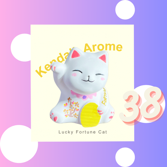 Fortune Cat Aroma Stone - no.38