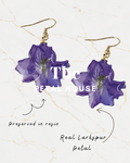Real Larkspur Earring